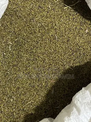 Seeds Pasture
