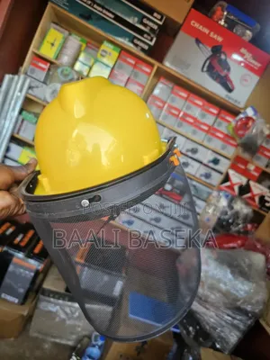 Protective Mask/Helmet