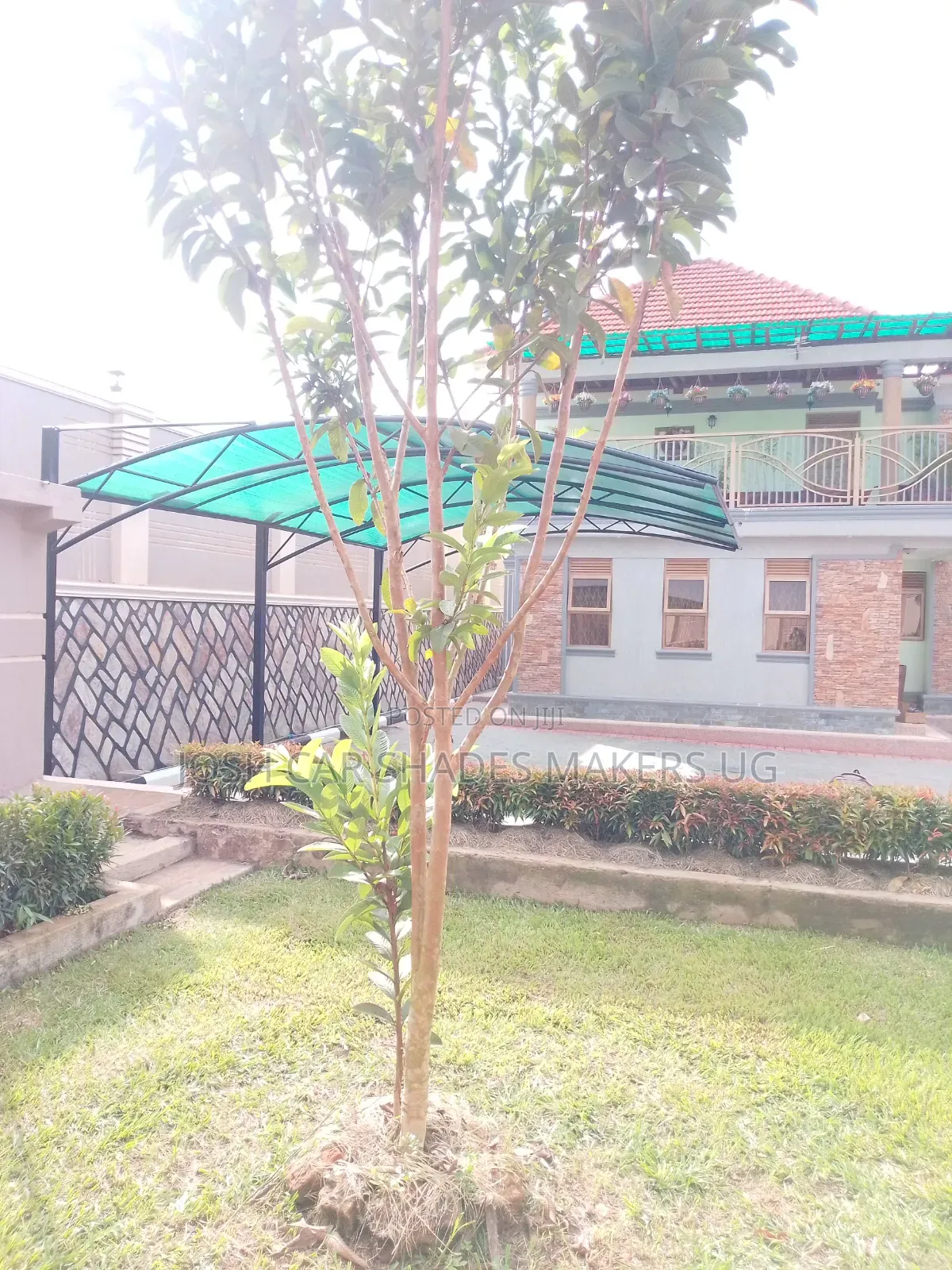 Car Shead Green Net Waterproof