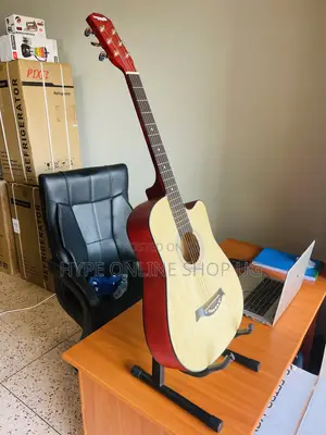 Brandnew Dream Maker Medium Acoustic Guitar