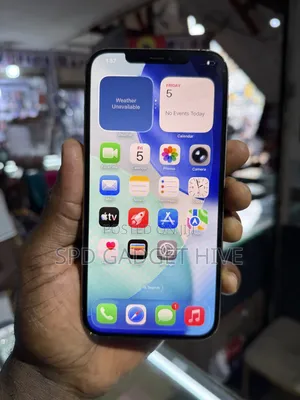Apple iPhone 12 Pro Max 256 GB Gold