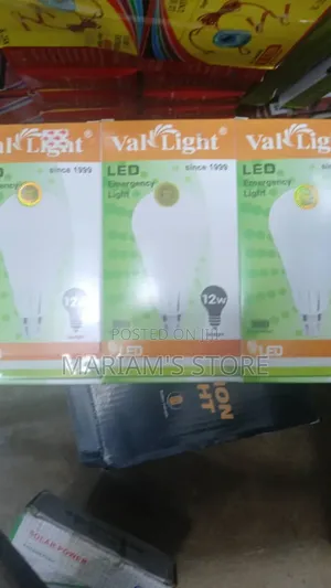 Vallight 12w Led Emergency Bulb.