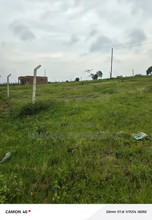 Bujjuko Estate