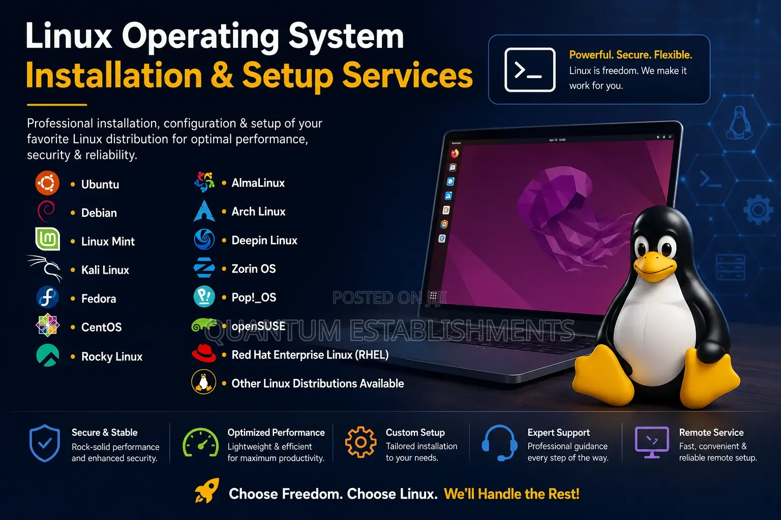 Linux Operating Systems Installation and Setup Services