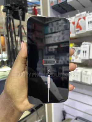 Apple iPhone 13 Pro 256 GB Black