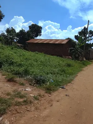 A Plot for Sale