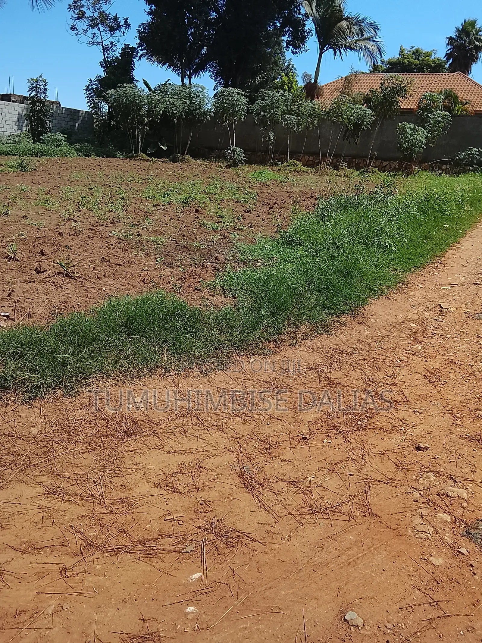 A Plot for Sale