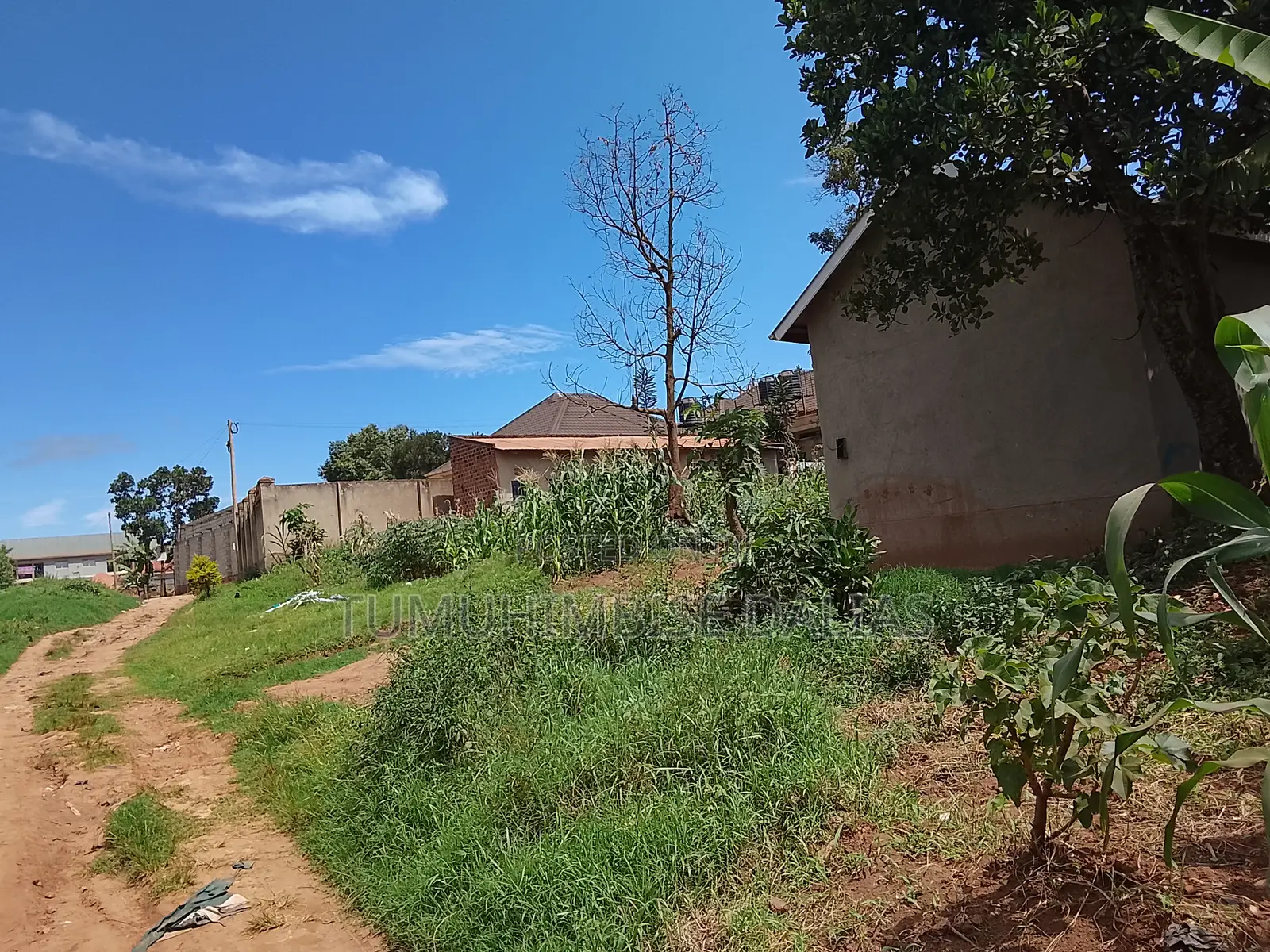 A Plot for Sale