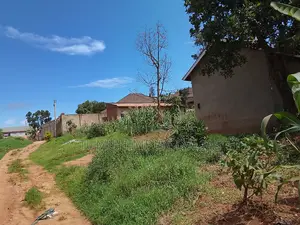 A Plot for Sale