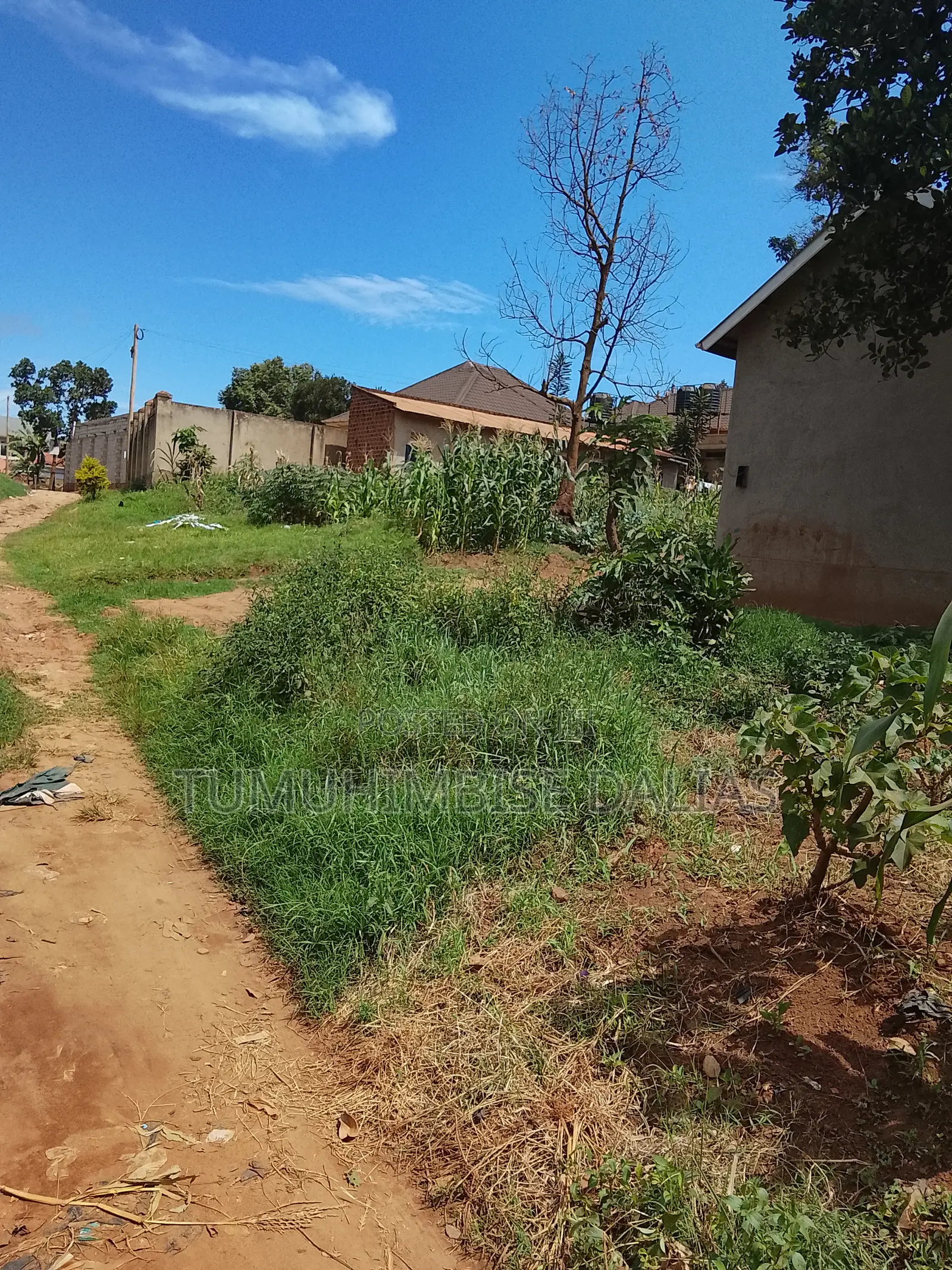 A Plot for Sale