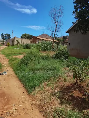 A Plot for Sale