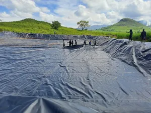 Damliner/Pondliner