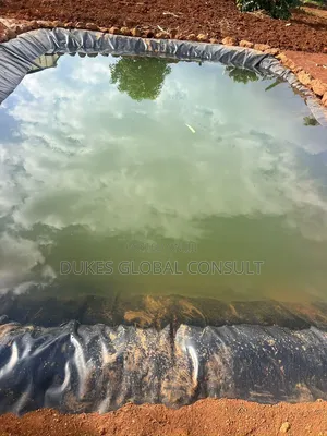 Damliner/Pondliner