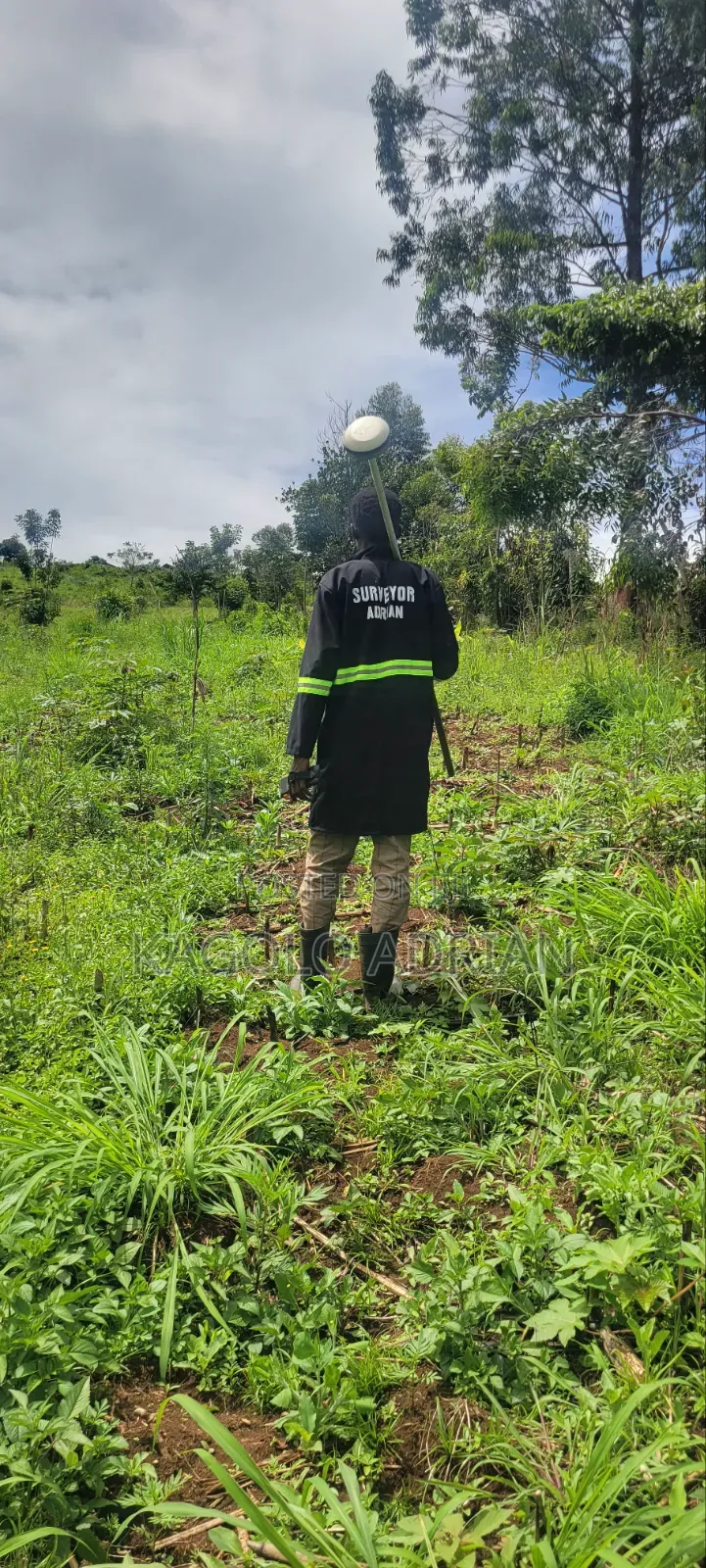 Land Surveyor.