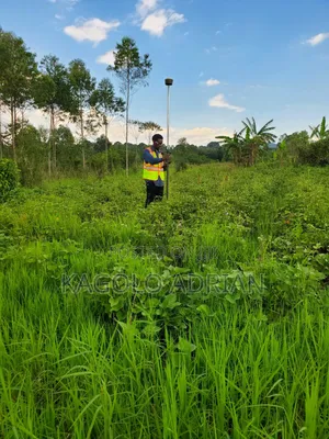 Land Surveyor.
