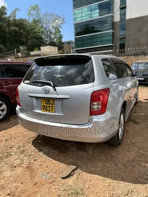 Toyota Corolla Fielder 2007 Silver
