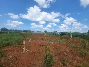 100×100 Plot – Wamala (Entebbe Road) At 120,M
