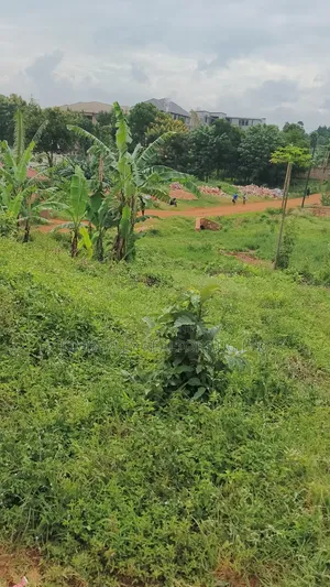 50×100 Plot – Namulanda Lutembe (Entebbe Road) At 75m
