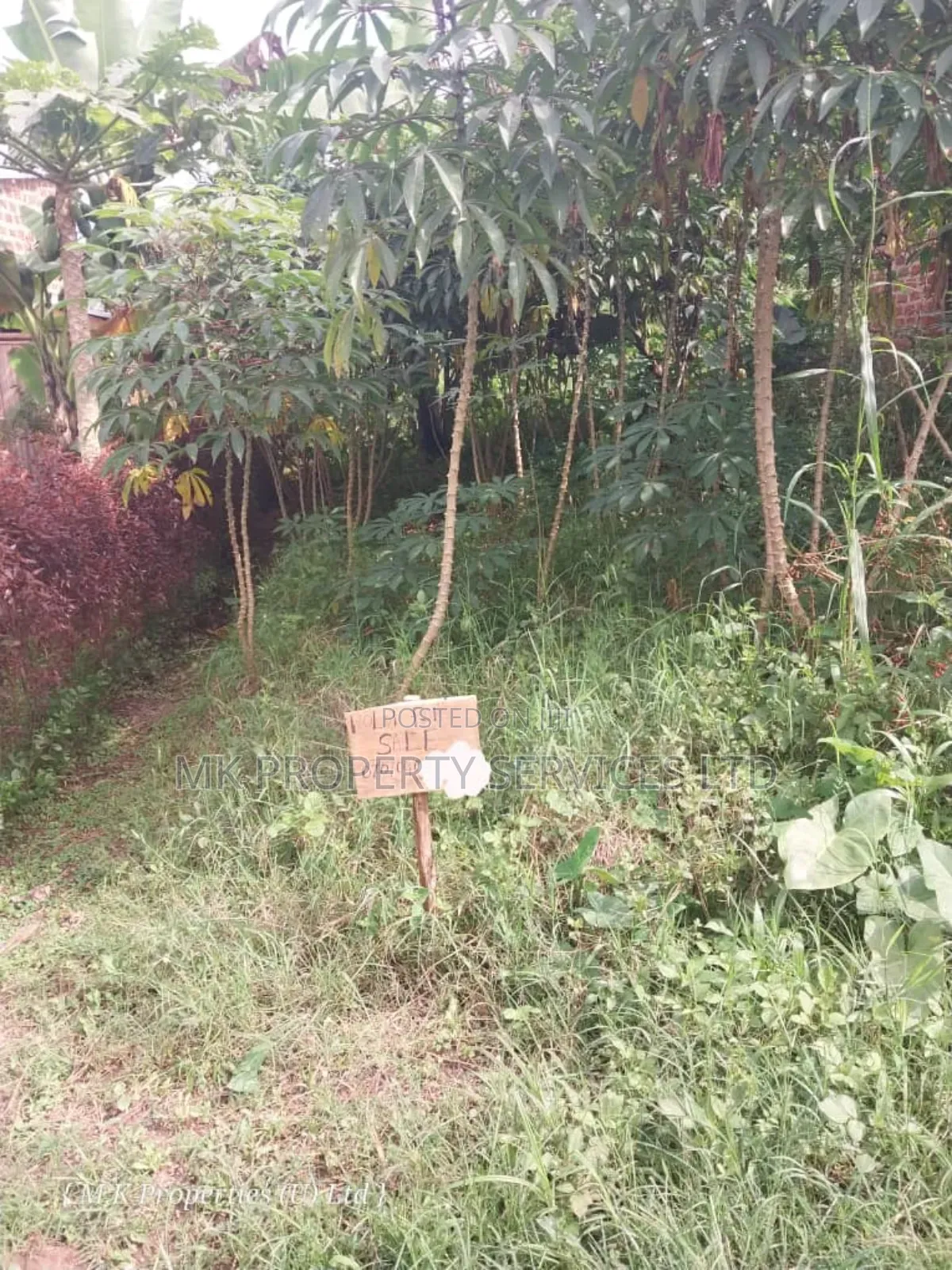 Quick Sale Plot in Matugga Kavule