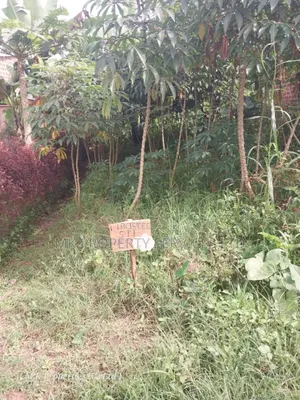 Quick Sale Plot in Matugga Kavule
