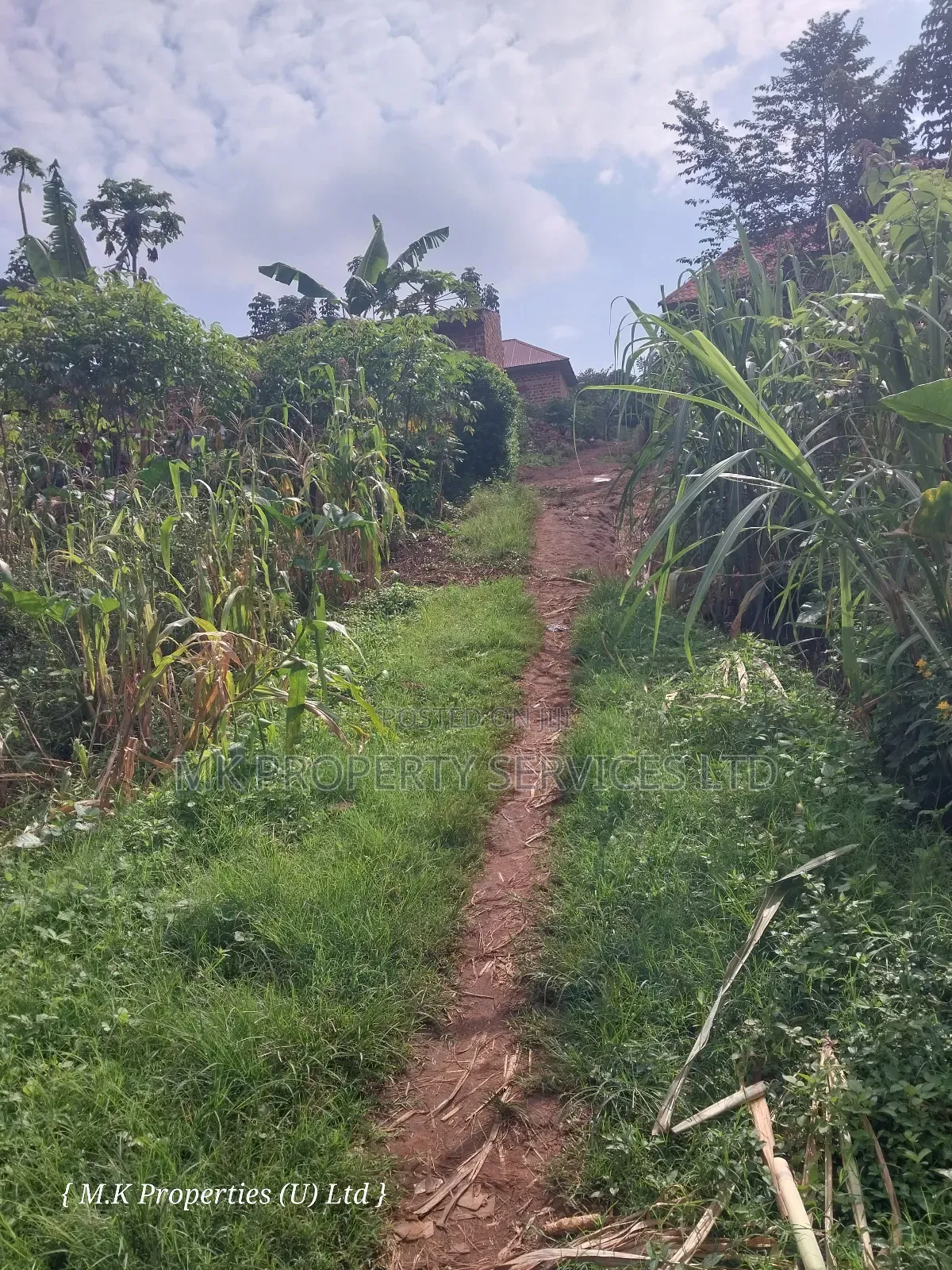 Quick Sale Plot in Matugga Kavule