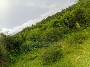 200 Hectares in Mubende District