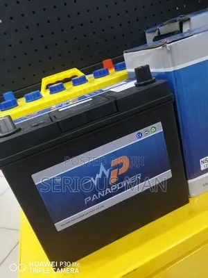 Panapower Lead-acid Automotive Battery