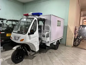 New Tricycle 2024 White