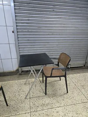 Portable Dining Plastic Chair and Table