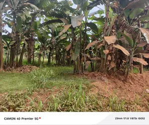 Commercial Land for Sale in Kira Town