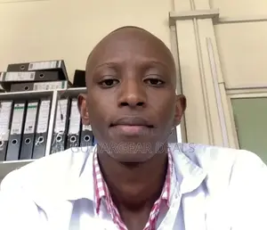 Data Analyst