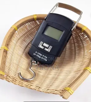 Abs Electric Hanging Scale