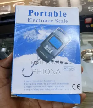 Abs Electric Hanging Scale