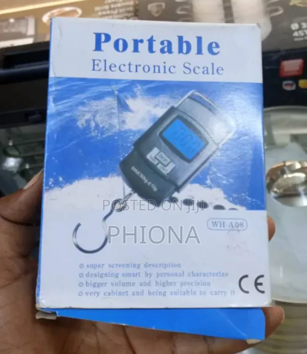 Abs Electric Hanging Scale