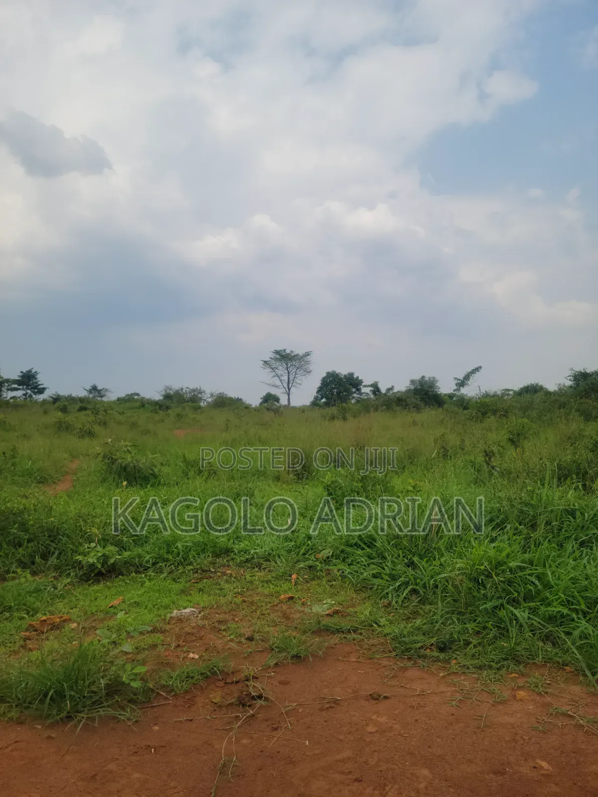 Land Surveyor