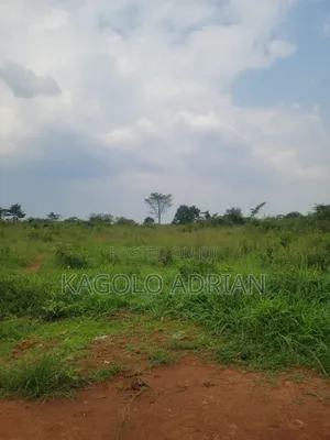 Land Surveyor