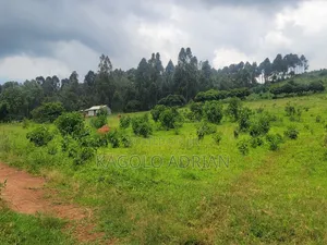 Land Surveyor