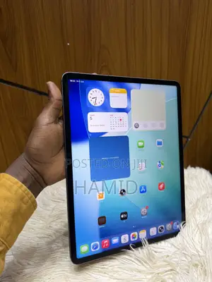 Apple iPad Pro 12.9 (2022) 128 GB Gray