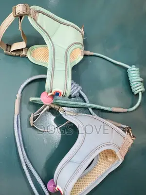 Leash and Harness