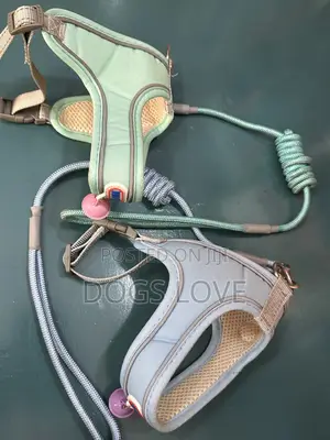 Leash and Harness