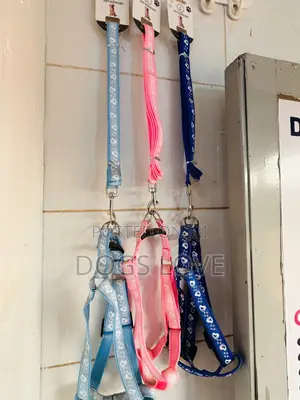 Leash With Harness