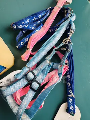 Leash With Harness