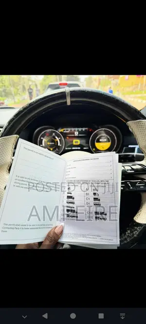 Passport, Visa Business Registration Assistance | Prosper Global Ser