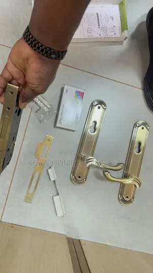 Premium Brass Finish Door Handle Set