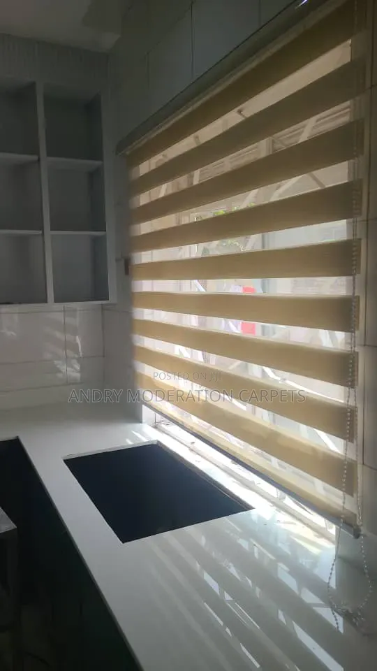 Indoor Zebra Blind Office Curtains