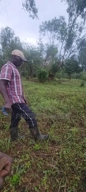 Am Sealing Land