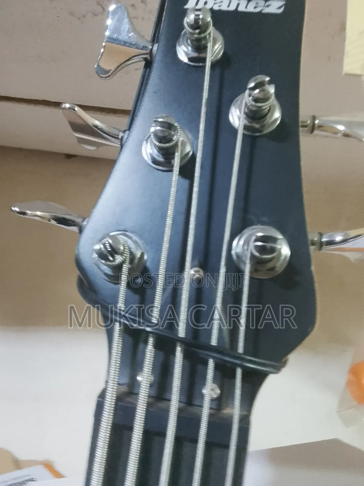 Ibanez Bass Pro