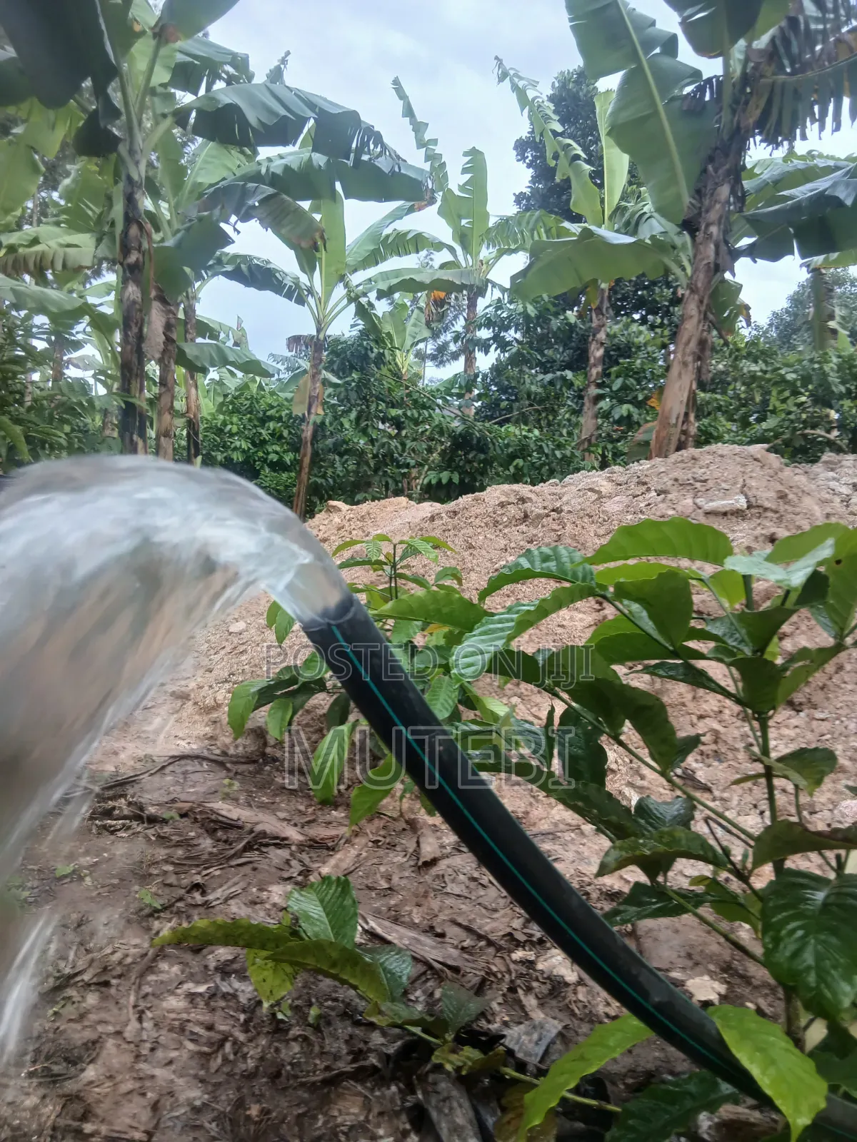 Shallow Wall Construction Pure Water From the Source