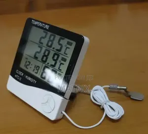 Digital Portable Fridge Thermometer