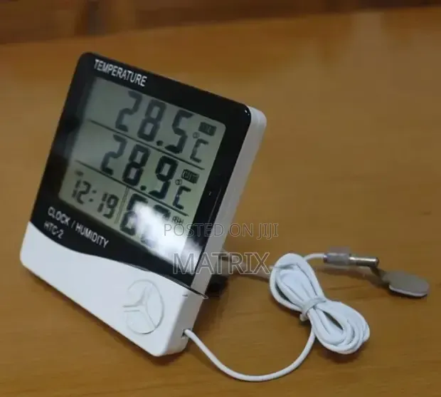 Digital Portable Fridge Thermometer